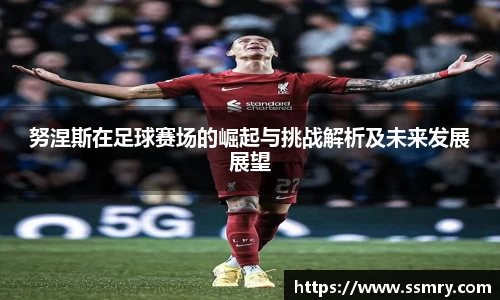 努涅斯在足球赛场的崛起与挑战解析及未来发展展望